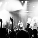 Image for article titled The Five People You Stand Next To at a Concert
